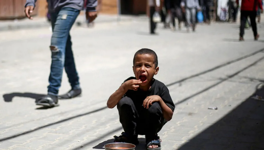 "أخبرنا الاطفال أن طعمها لذيذ كلحم العجل"... فلسطينيون في غزة يلجأون إلى لحم السلاحف وسط أزمة غذاء
