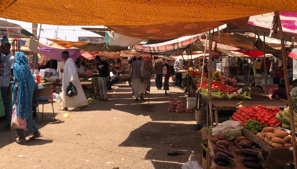 أجهزة الأمن في الإمارات تحبط محاولة تهريب كمية من العتاد العسكري إلى الجيش السوداني