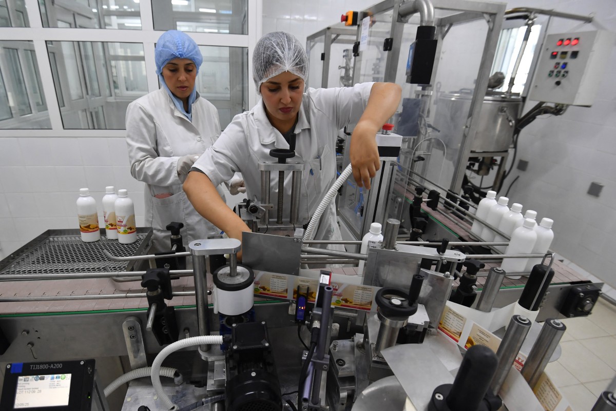 تطوير حليب الناقة في المصانع (أ ف ب)