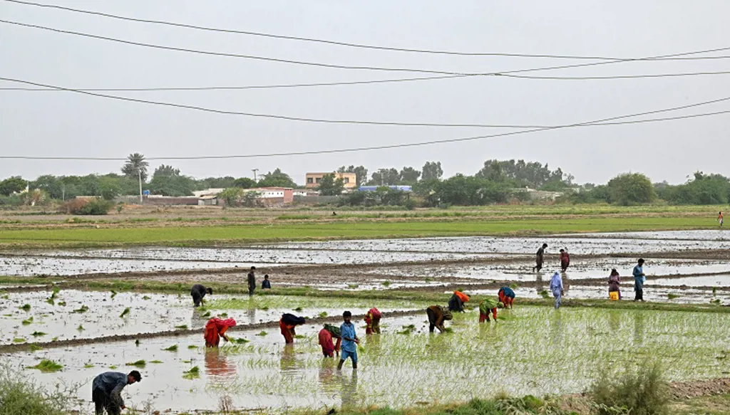 زلزال بقوة 5,3 درجة يضرب وسط باكستان