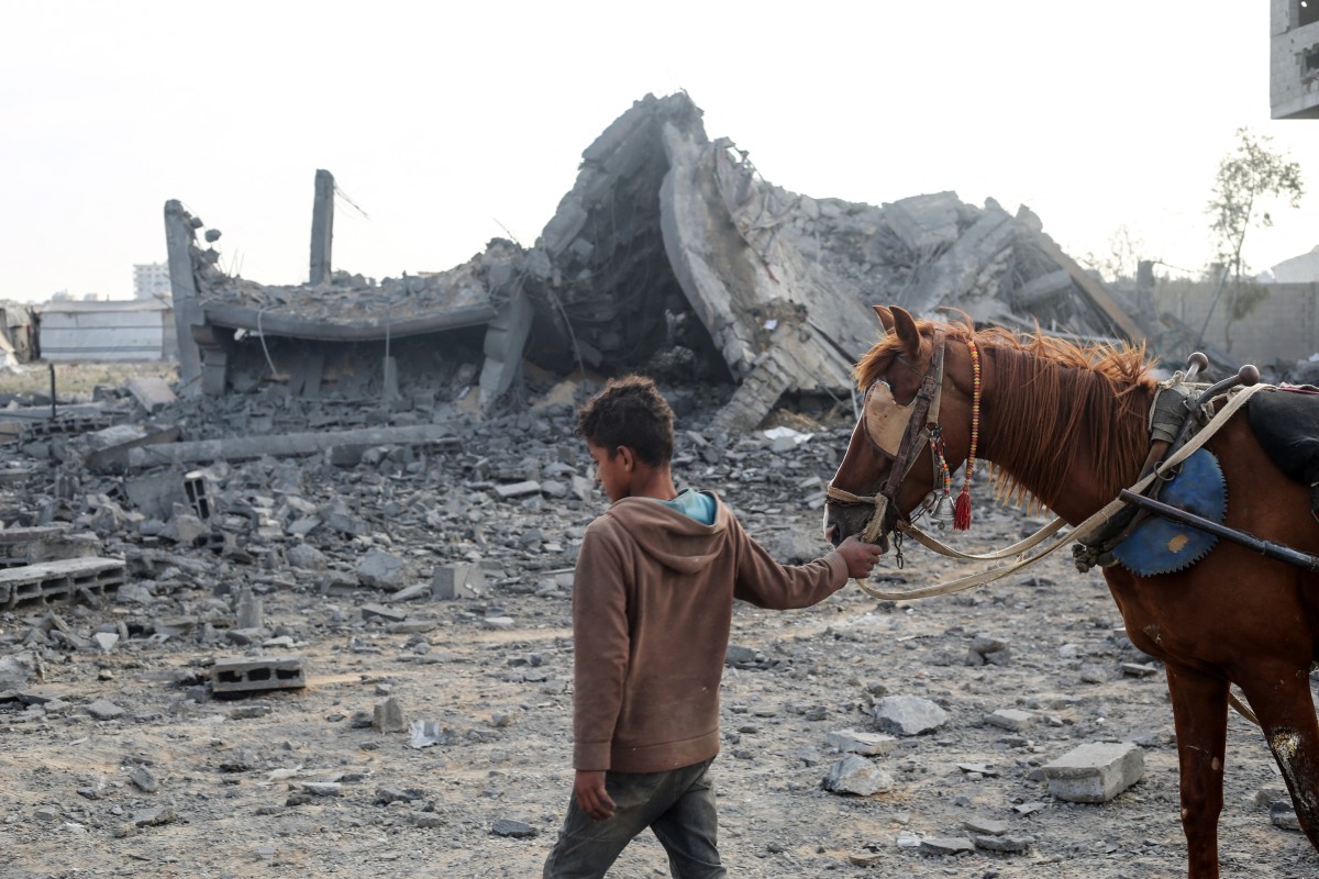 فتى يجرّ حصاناً في قطاع غزة (أ ف ب).