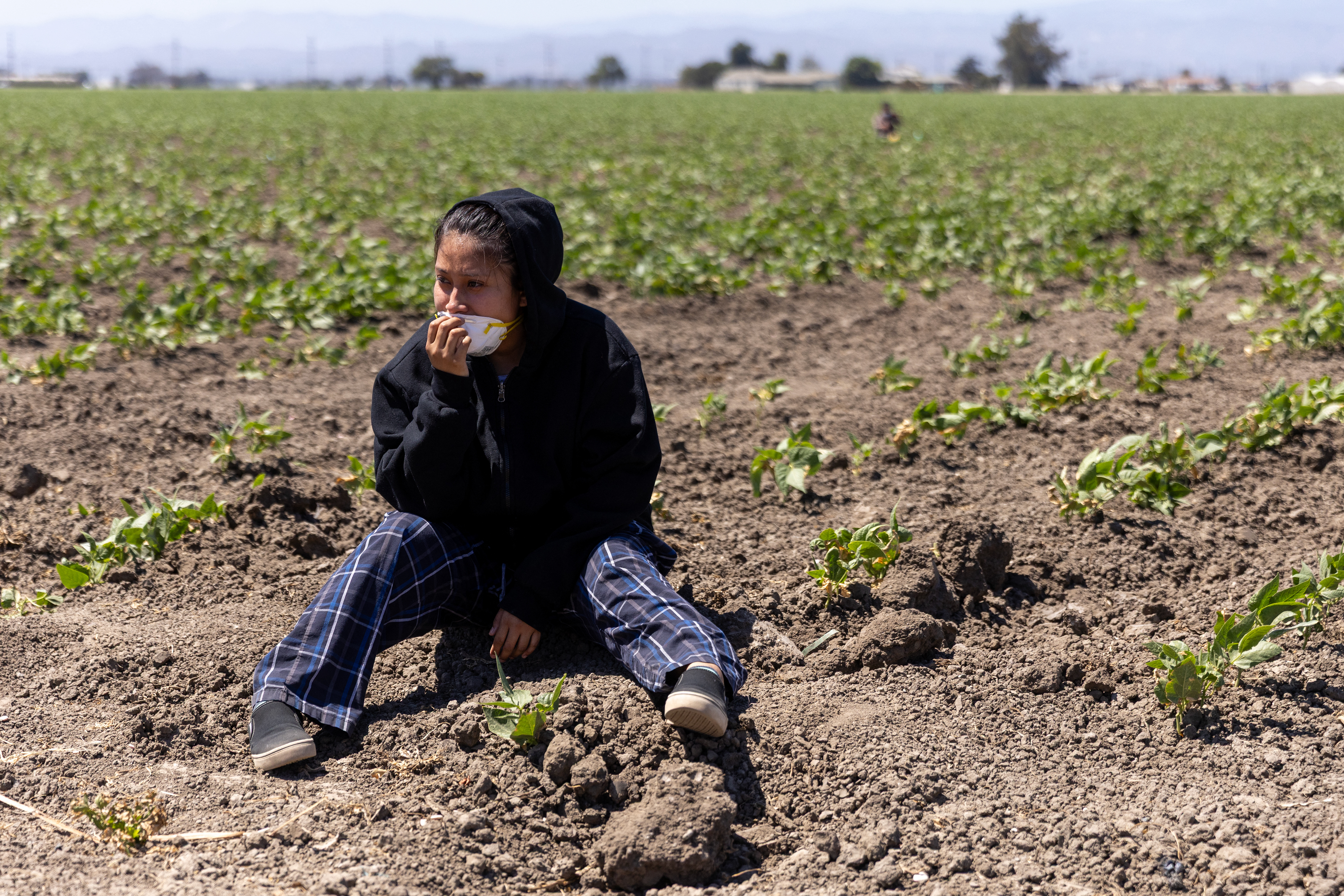 مزارع غلاس هاوس - كاليفورنيا (أ ف ب). 