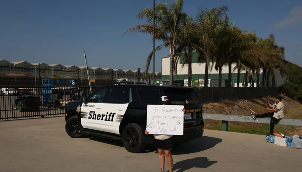 وفاة عامل إثر مداهمة لمزرعة قنب في كاليفورنيا... ترامب: "بلطجية"