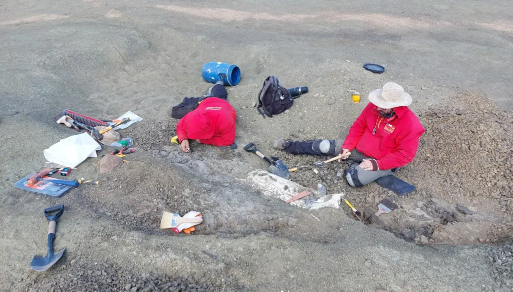 متحجرة حيوان من زمن الديناصورات... بحجم الفأر!
