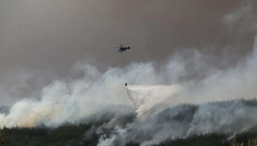 إجلاء 250 شخصاً من غليبولي التركية بسبب حرائق الغابات