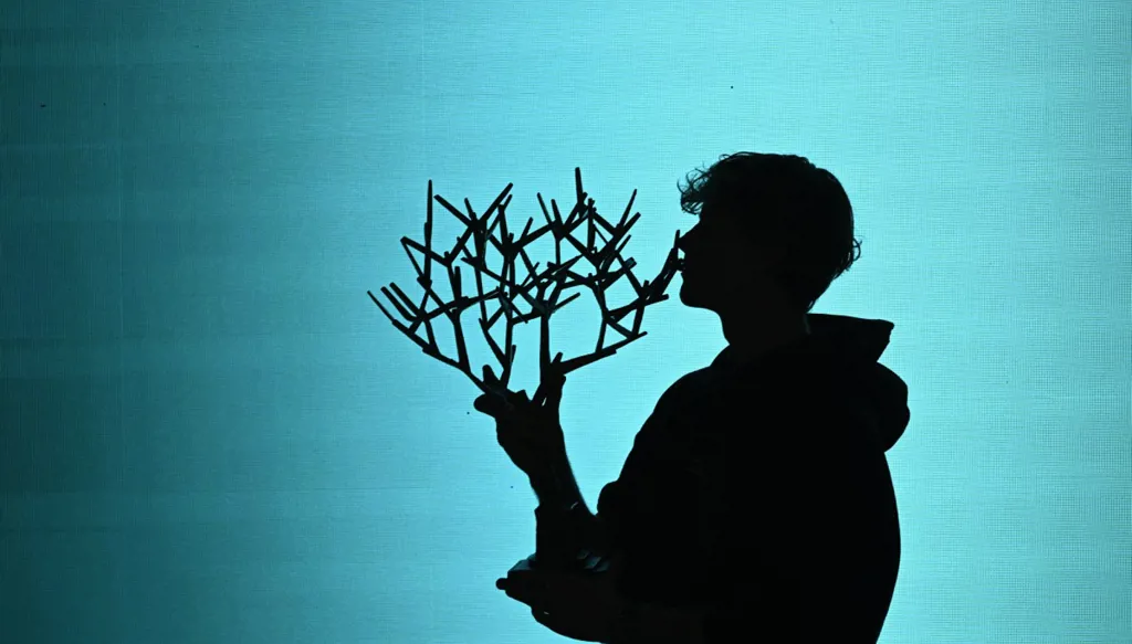 يانيك سينر يستعيد قمة التصنيف العالمي بعد تتويجه في باريس