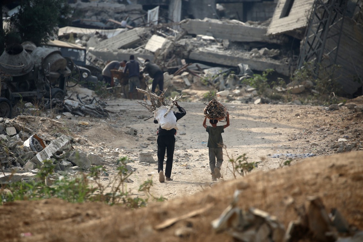 يستخدم النازحون الفلسطينيون أغصان الشجر في الطهي وسط نقص الوقود في قطاع غزة. (أ ف ب)