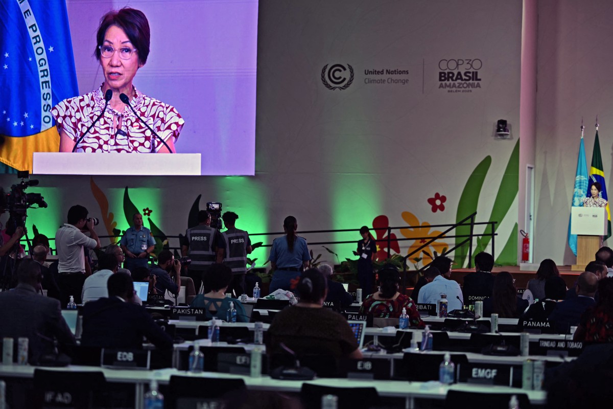 كوب 30 في البرازيل. (أ ف ب)