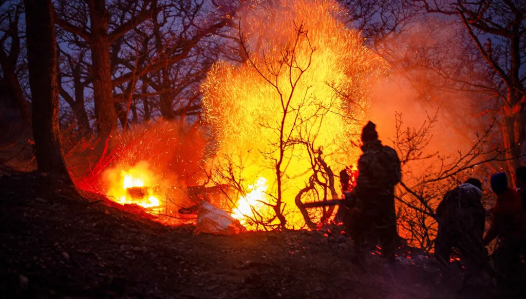 حريق يلتهم غابات إيرانية مدرجة على قائمة التراث العالمي لليونسكو