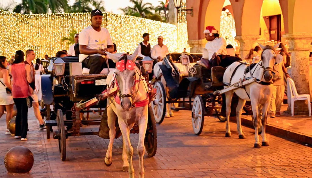 منعاً لاستغلال الحيوانات بهدف السياحة... كولومبيا تحظر عربات الخيول