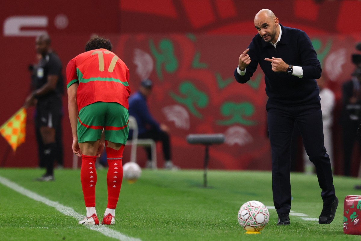 المدرب وليد الركراكي خلال كأس أمم أفريقيا. (أ ف ب)