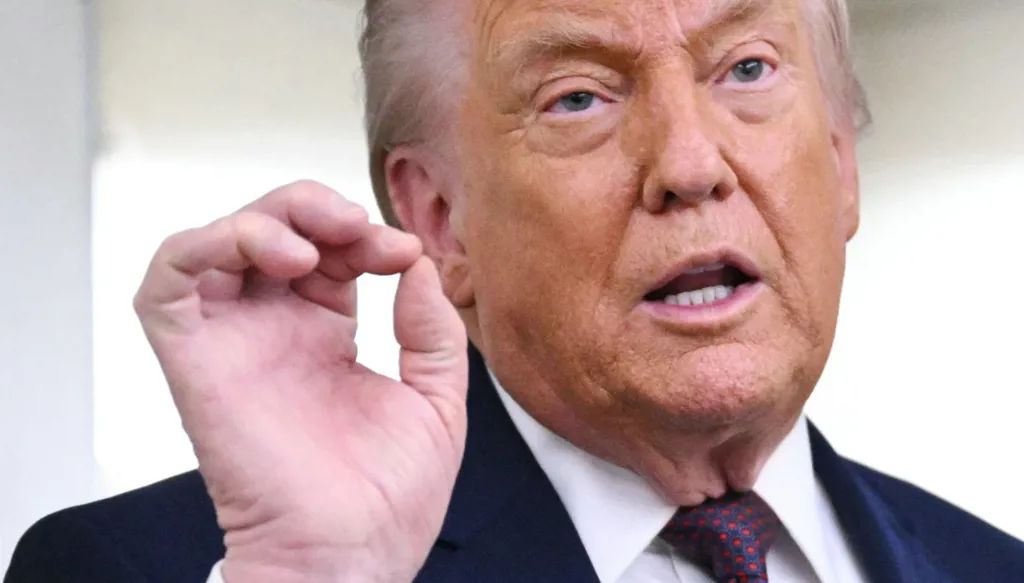 سنة أولى ترامب: كلفة التغيير الجذري