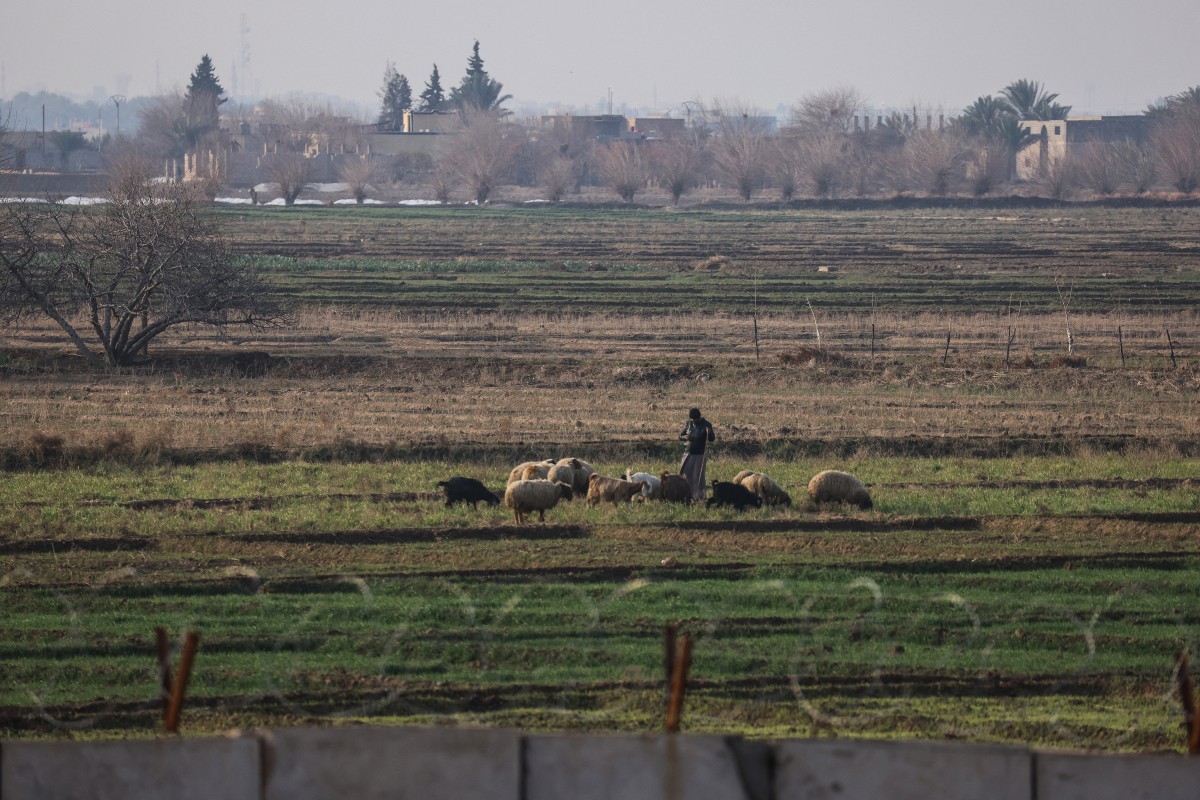 صورة التقطت من القائم، على الجانب العراقي من الحدود مع سوريا، تظهر راعيًا سوريًا يراقب أغنامه وهي ترعى في حقول بالقرب من جدار خرساني. (أ ف ب)