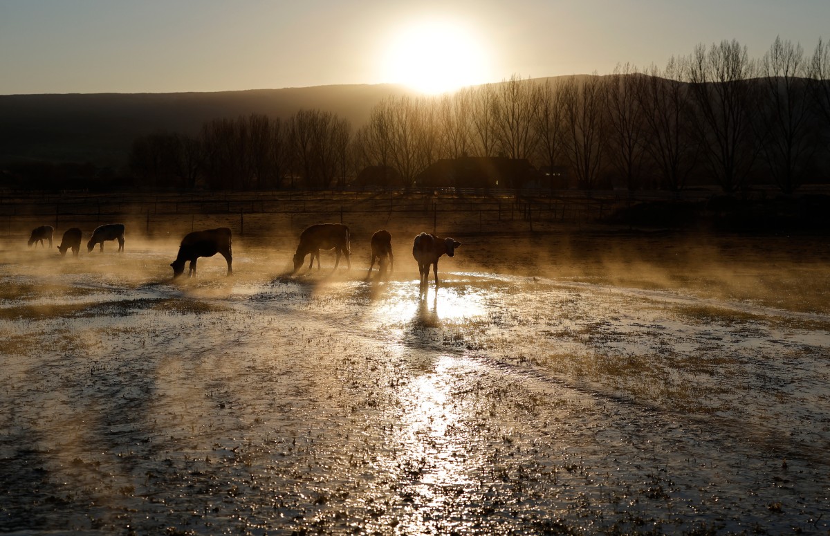 الشمس في الولايات المتحدة (أ ف ب).