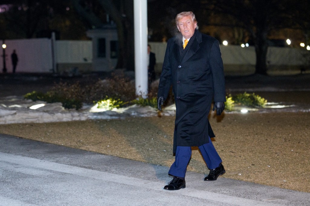 الرئيس الأميركي دونالد ترامب. (أ ف ب)