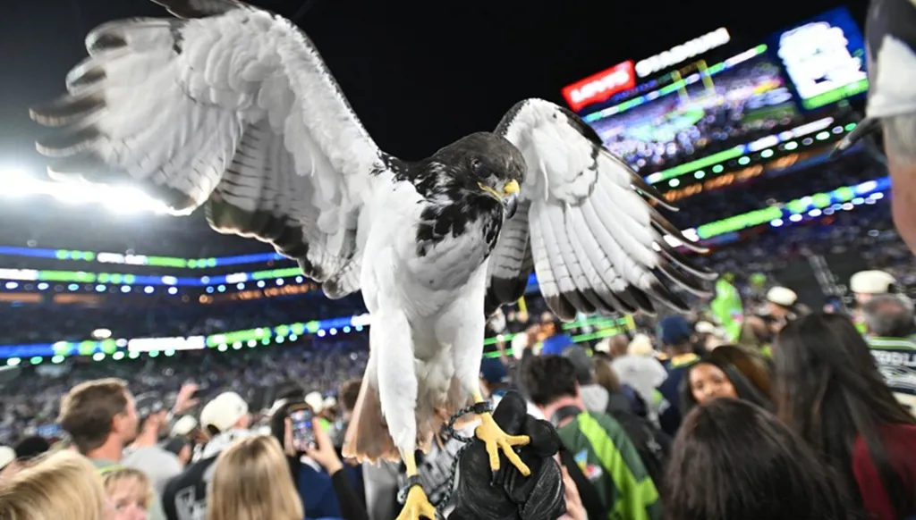 سيهوكس يتوّج بلقب "سوبر بول" على حساب باتريوتس... وهذا ما قاله ترامب! (فيديو وصور)