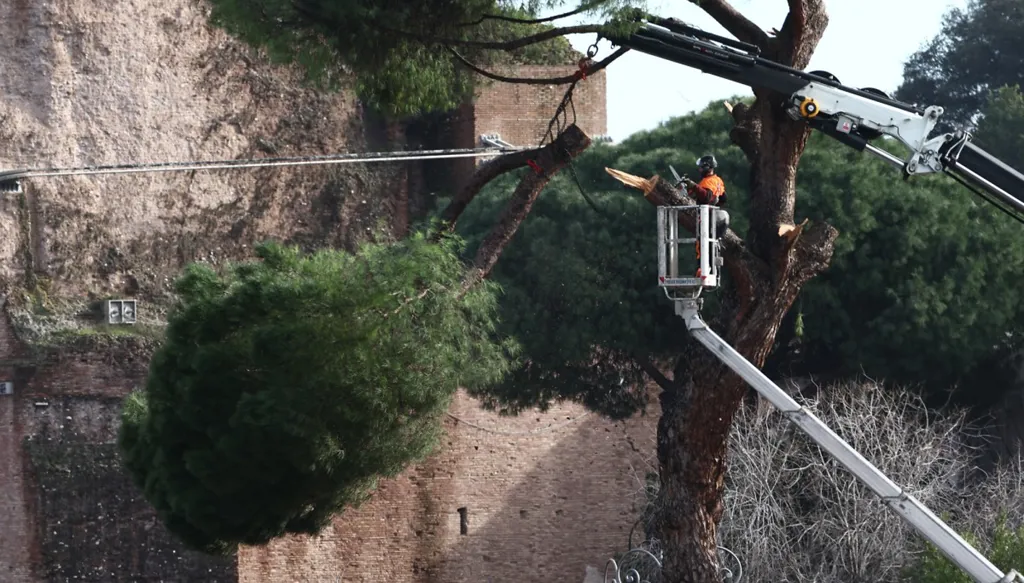 بسبب الفياضانات... منطقة كالابريا الإيطالية تطالب السلطات بإعلان حالة الطوارئ مجدداً