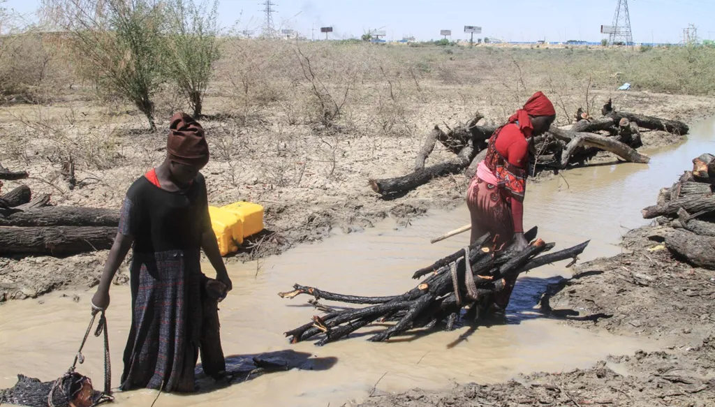 برنامج الغذاء العالمي: مساعدات تدخل كردفان لأول مرة منذ عامين