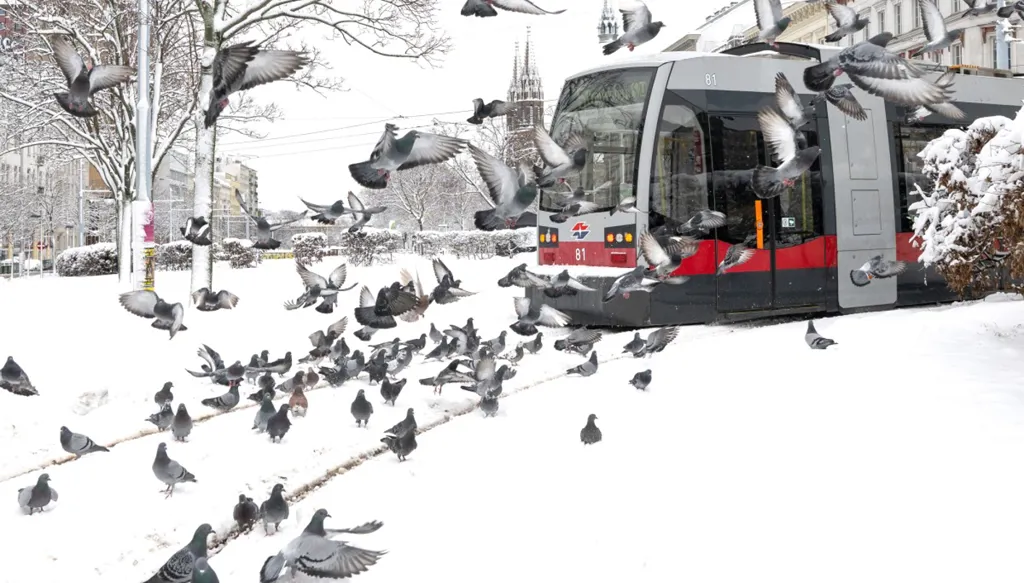 عاصفة ثلجية في النمسا... قتلى وفوضى في حركة النقل