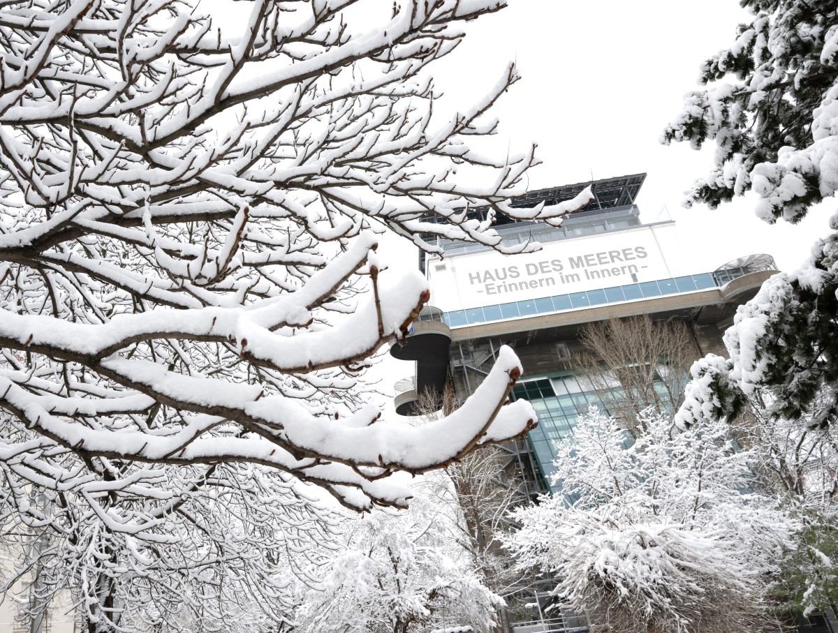 عاصفة ثلجية كبيرة النمسا. (أ ف ب)