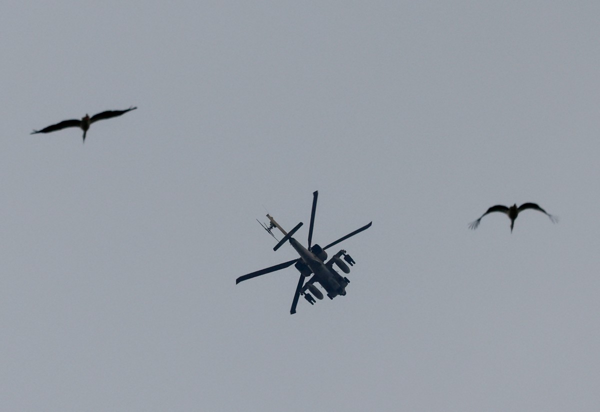 درونز (أ ف ب)