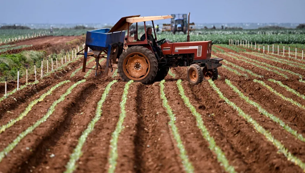 اختناق شرايين الأمن الغذائي العالمي