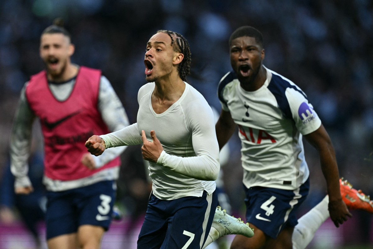توتنهام يبحث عن الفوز والهروب من منطقة الهبوط. (أ ف ب)