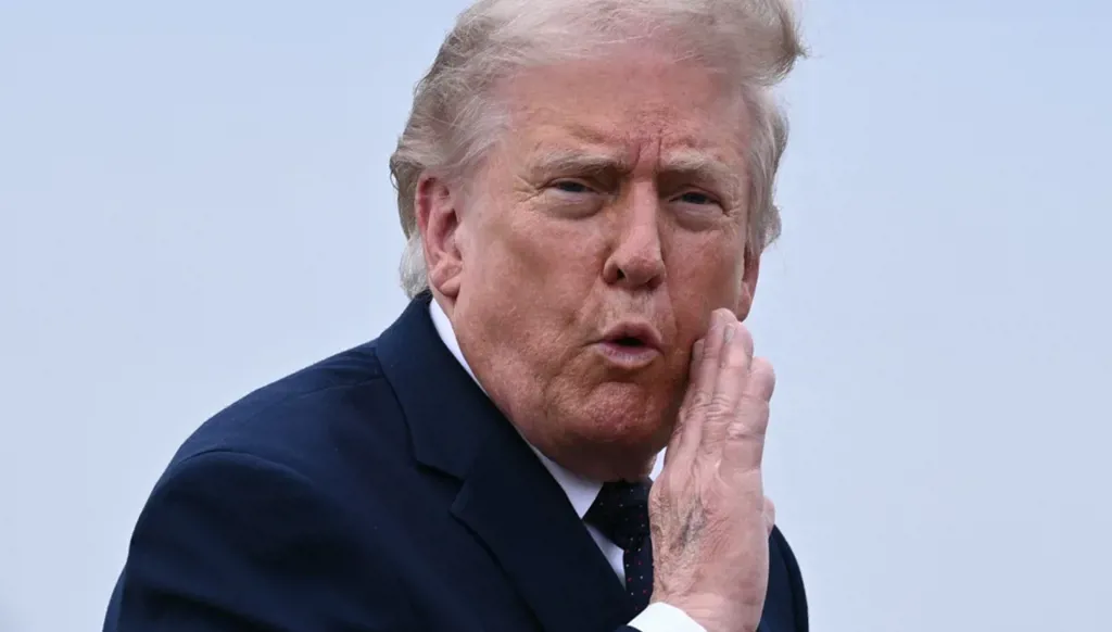 Donald Trump (AFP).