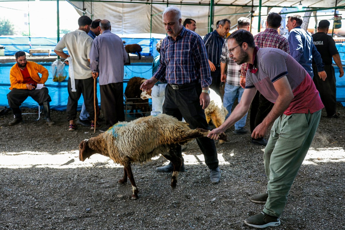 أشخاص يشترون الأغنام في سوق للماشية في طهران. (أ ف ب)