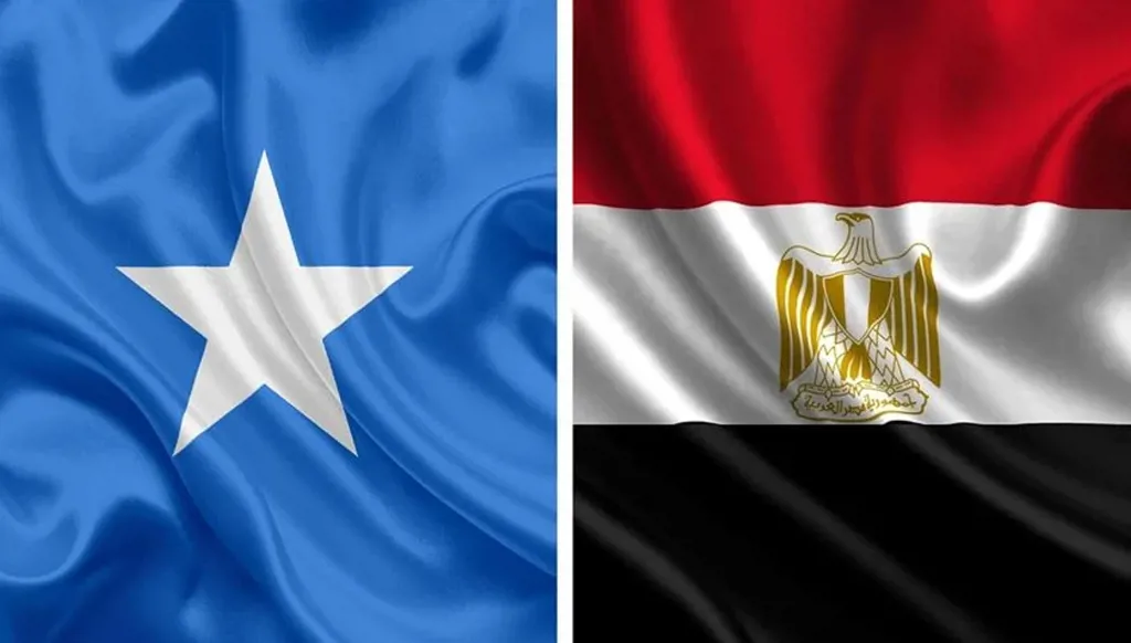 وزير الخارجية المصري لنظيره الصومالي: نرفض "الكيانات الموازية"