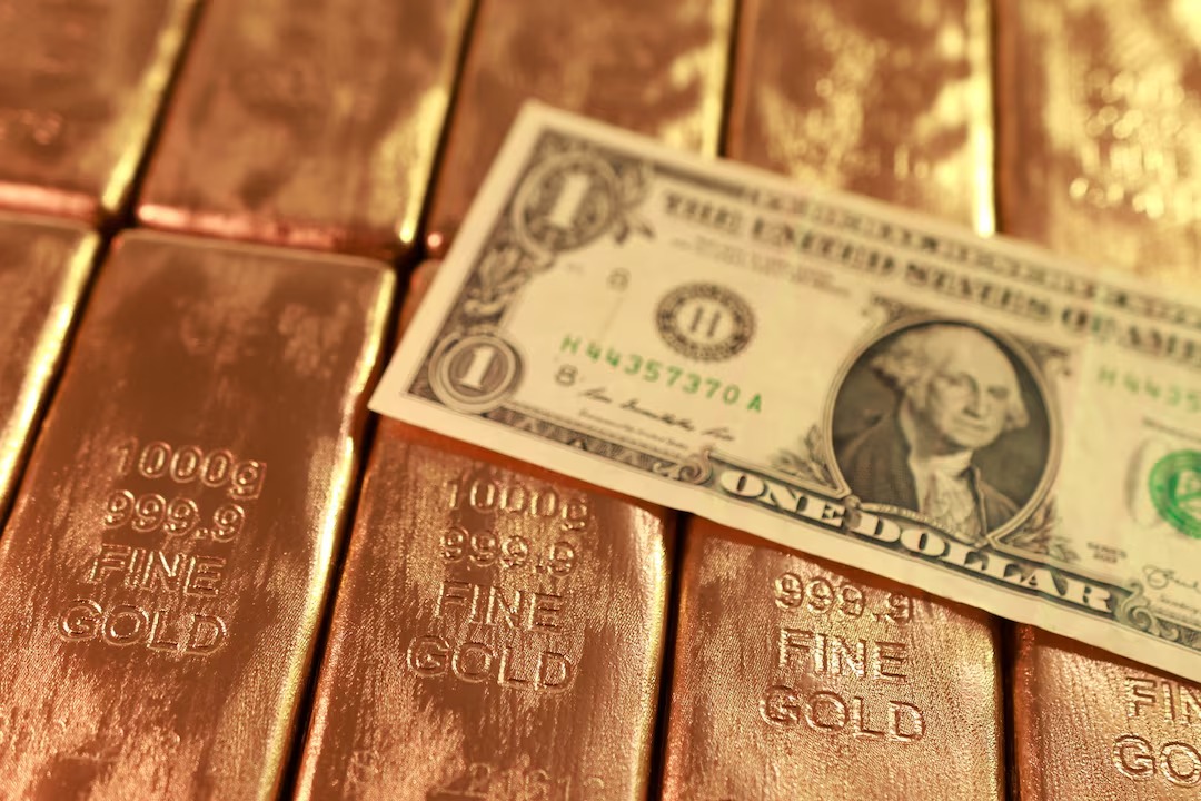 عملات ذهبية مقلدة وأوراق نقدية من فئة الدولار الأميركي (رويترز)