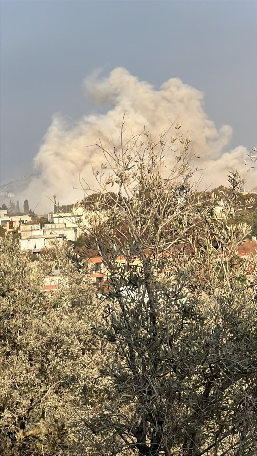 عملية تفجير نفذها الجيش الإسرائيلي في بلدة زوطر الشرقية بقضاء النبطية (صورة متداولة)