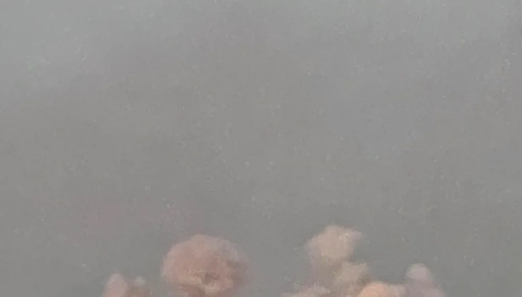 عمليات تفجير ضخمة نفذها الجيش الإسرائيلي في بلدة كفرتبنيت بقضاء النبطية جنوبي لبنان (صورة متداولة)