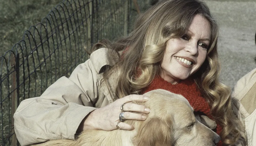 Brigitte Bardot, 1960s sultry sex symbol turned militant animal rights activist dies at 91(AP)