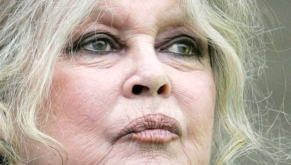 Brigitte Bardot, 1960s sultry sex symbol turned militant animal rights activist dies at 91(AP)
