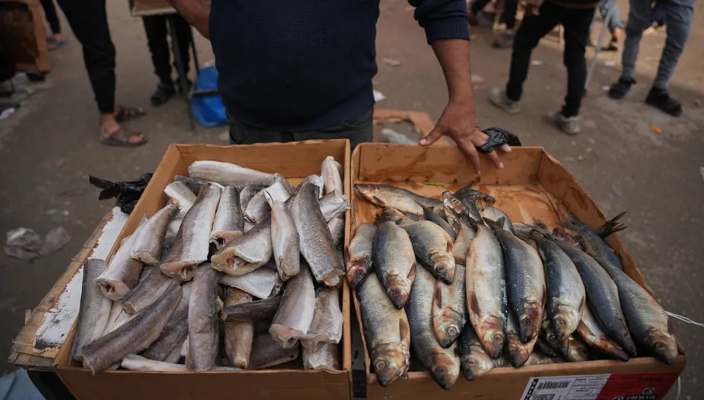 What to know about aid entering Gaza, the other battle between Israel and Hamas (AP)