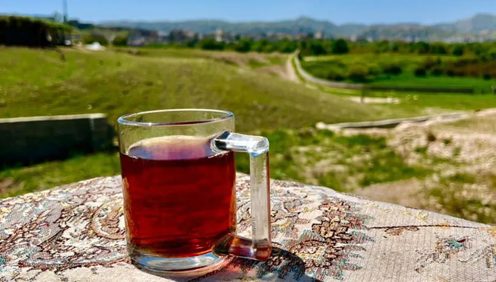 Iranians fleeing cities under attack seek refuge in the countryside (AP)