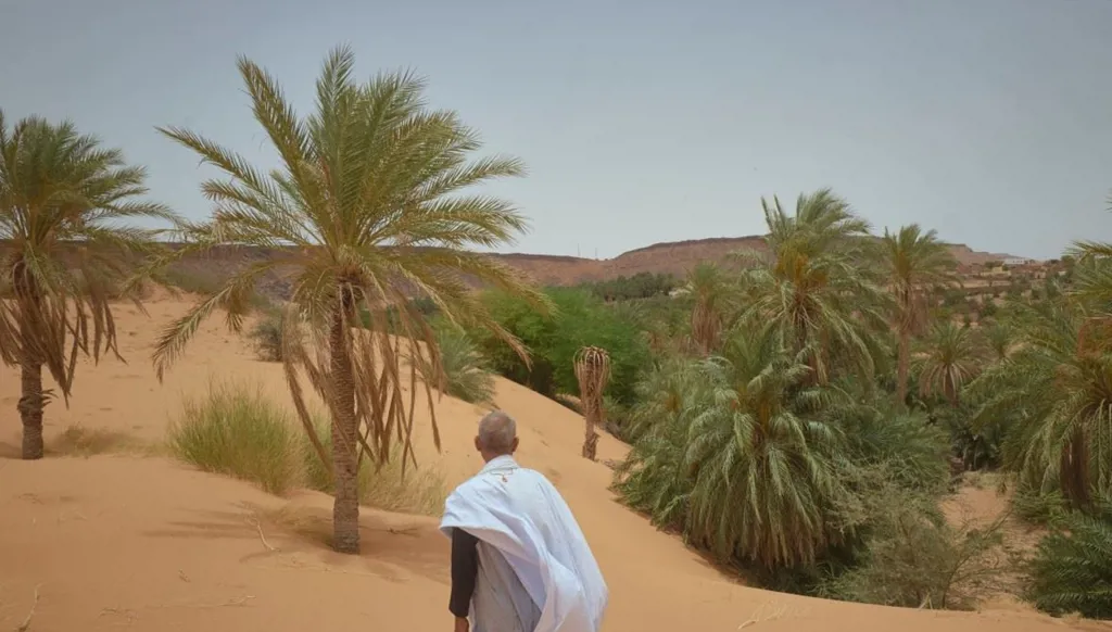 2,6 تريليون دولار توقف التصحّر!