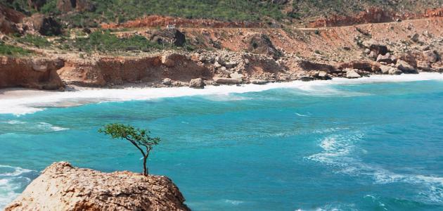 بحر العرب. (وكالات)