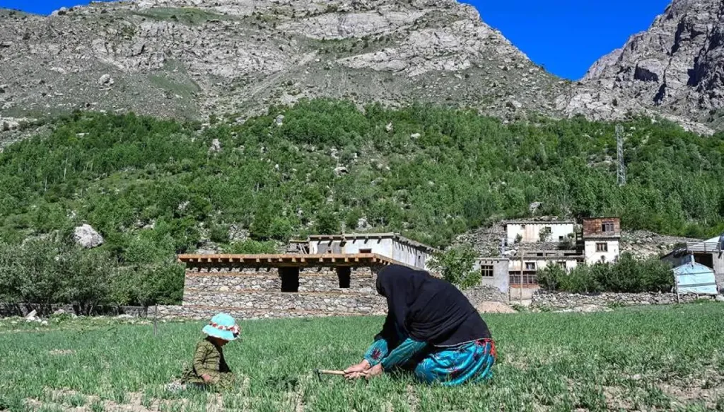 شريكة في الثمن... وليس في سند الملكية