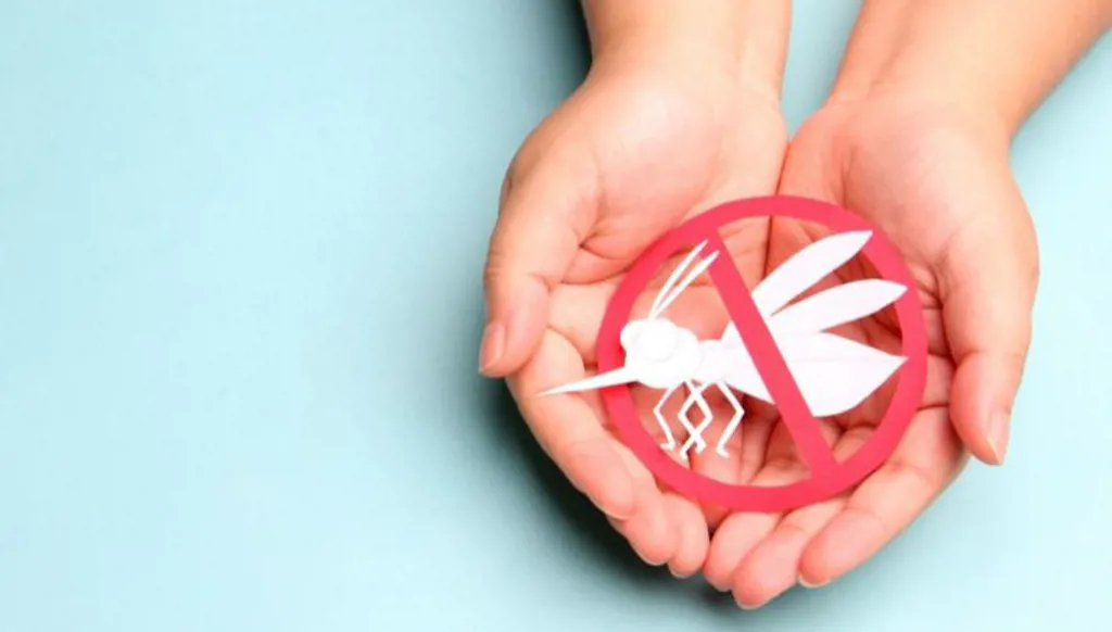 في كوبا... وفاة 33 بسبب أمراض ينقلها البعوض!