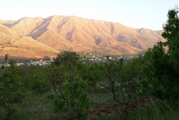 سرغايا على الحدود اللبنانية السورية 