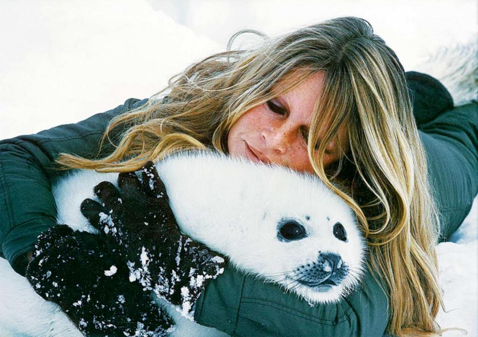 بريجيت باردو وصغير فقمة، خلال حملة “غرينبيس“ ضدّ صيد الفقمات، في كندا عام 1977. (أ ف ب)