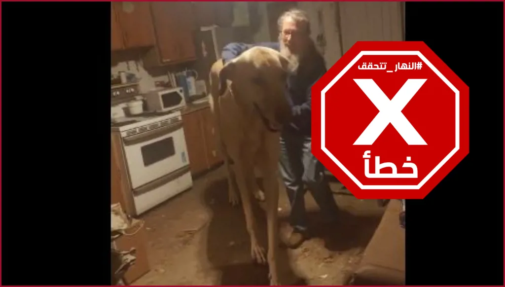 هذا تايتان اكبر كلب في العالم؟ النهار تتحقق FactCheck