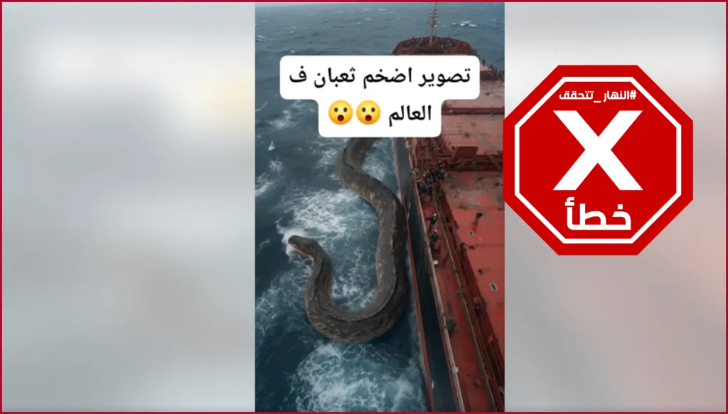 تصوير أضخم ثعبان في العالم؟ النهار تتحقق FactCheck