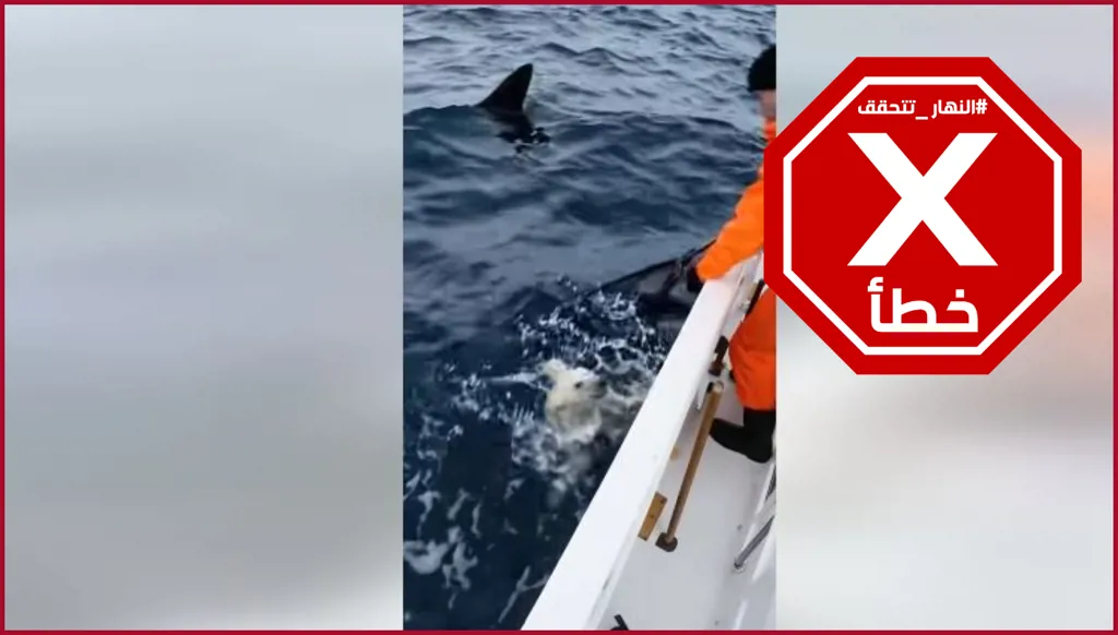 هذه المشاهد لعملية إنقاذ مؤثرة لدب قطبي في البحر غير حقيقية FactCheck#
