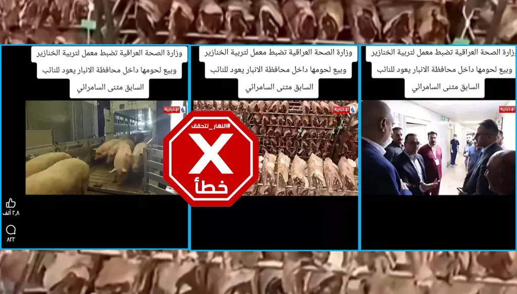الصحة العراقية تضبط معملاً لتربية الخنازير وبيعه لحومها في الأنبار؟ "النهار" تتحقق FactCheck