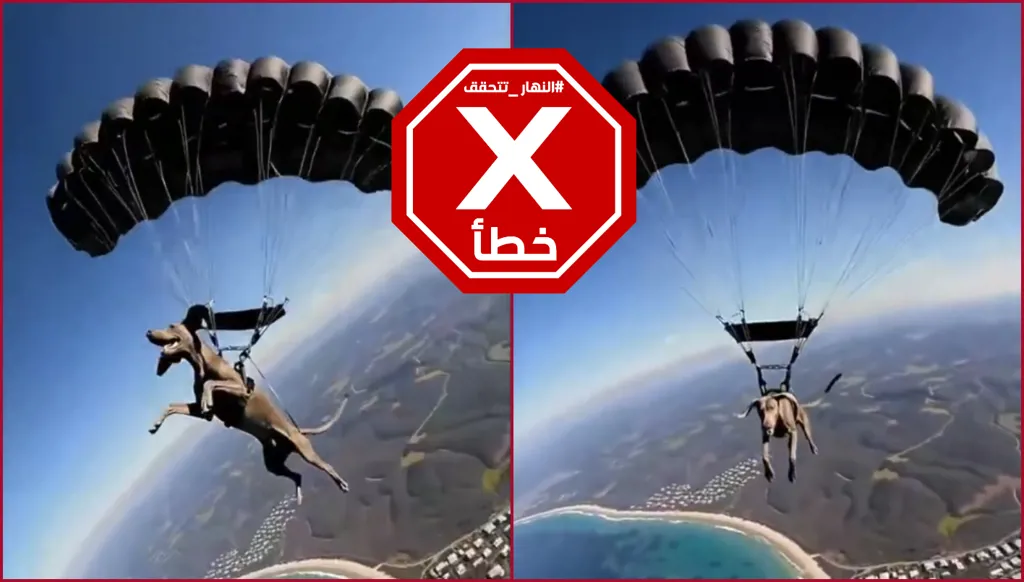 فيديو الكلب الذي يقفز بالمظلة غير حقيقي FactCheck#