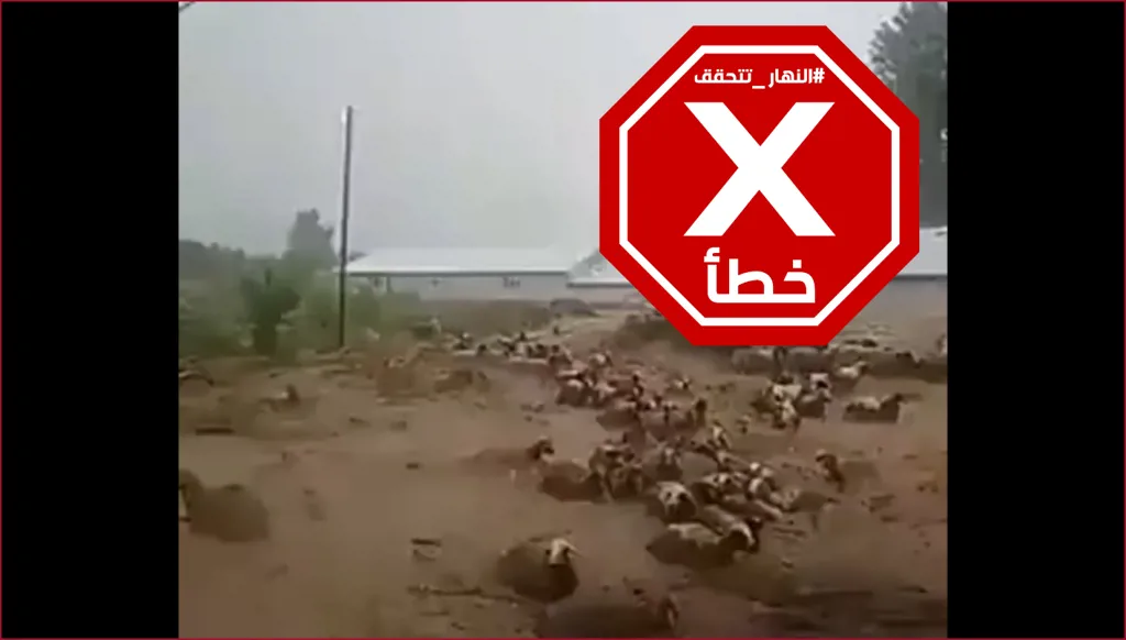 هذا الفيديو ليس لسيول تجرف أغناماً في المغرب FactCheck#
