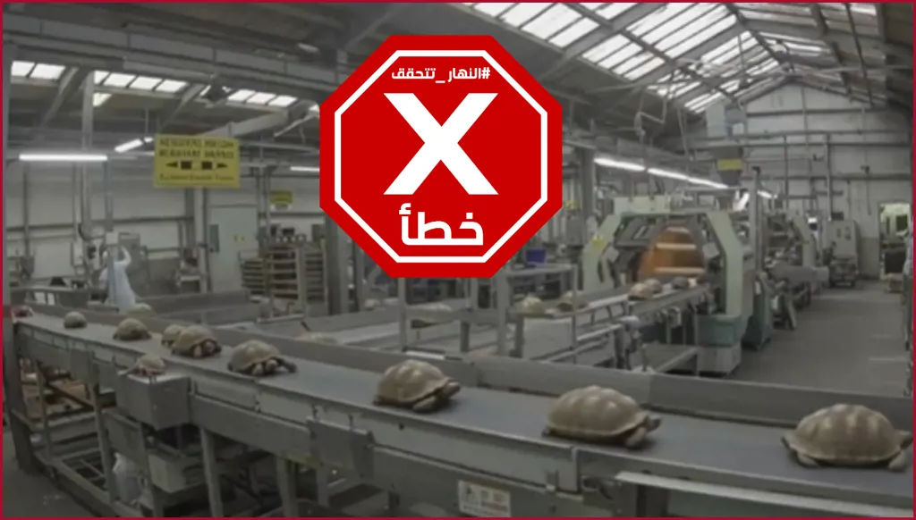 فيديو صناعة معاجين الأسنان من السلاحف مولد بالذكاء الاصطناعي FactCheck#